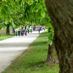 March along the Barbed Wire - Ljubljana, Slovenia