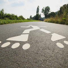 A Bicycle-Rollerblading Line. A Factor of a Healthy and Clean Environment - Kyustendil, Bulgaria